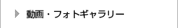 フォトギャラリー