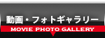 フォトギャラリー