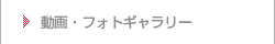 フォトギャラリー